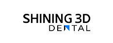 Logo Shining 3D